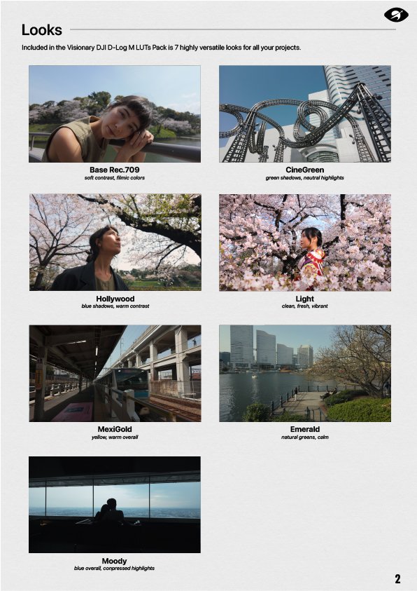 DJI D-Log M LUTs For Osmo Series - Image 2