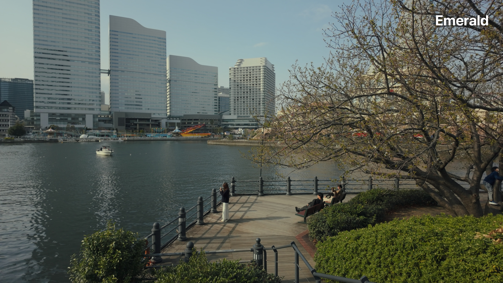 DJI D-Log M LUTs For Osmo Series - Image 4