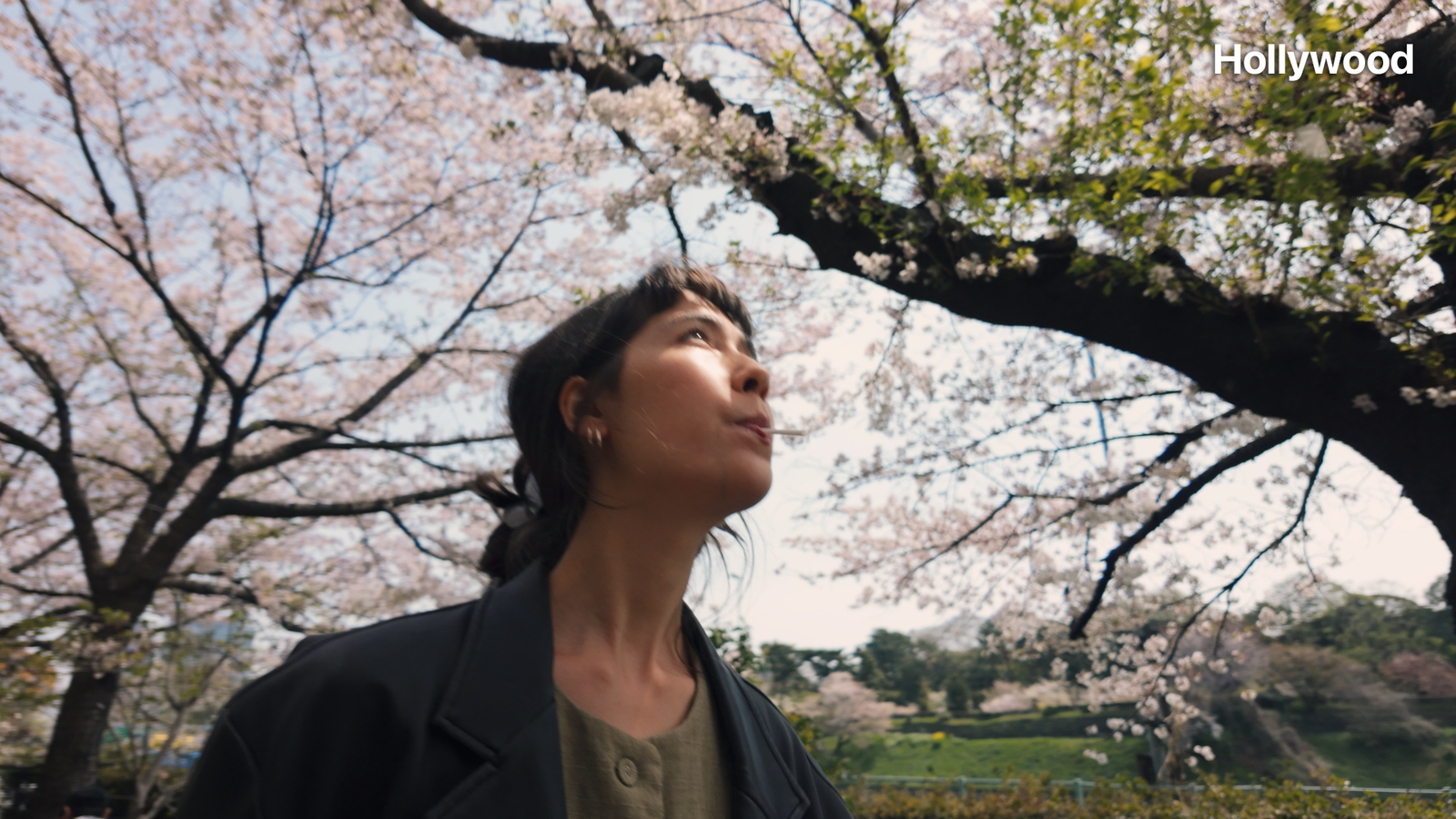 DJI D-Log M LUTs For Osmo Series - Image 6