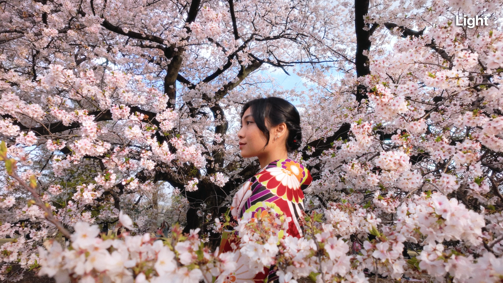 DJI D-Log M LUTs For Osmo Series - Image 3